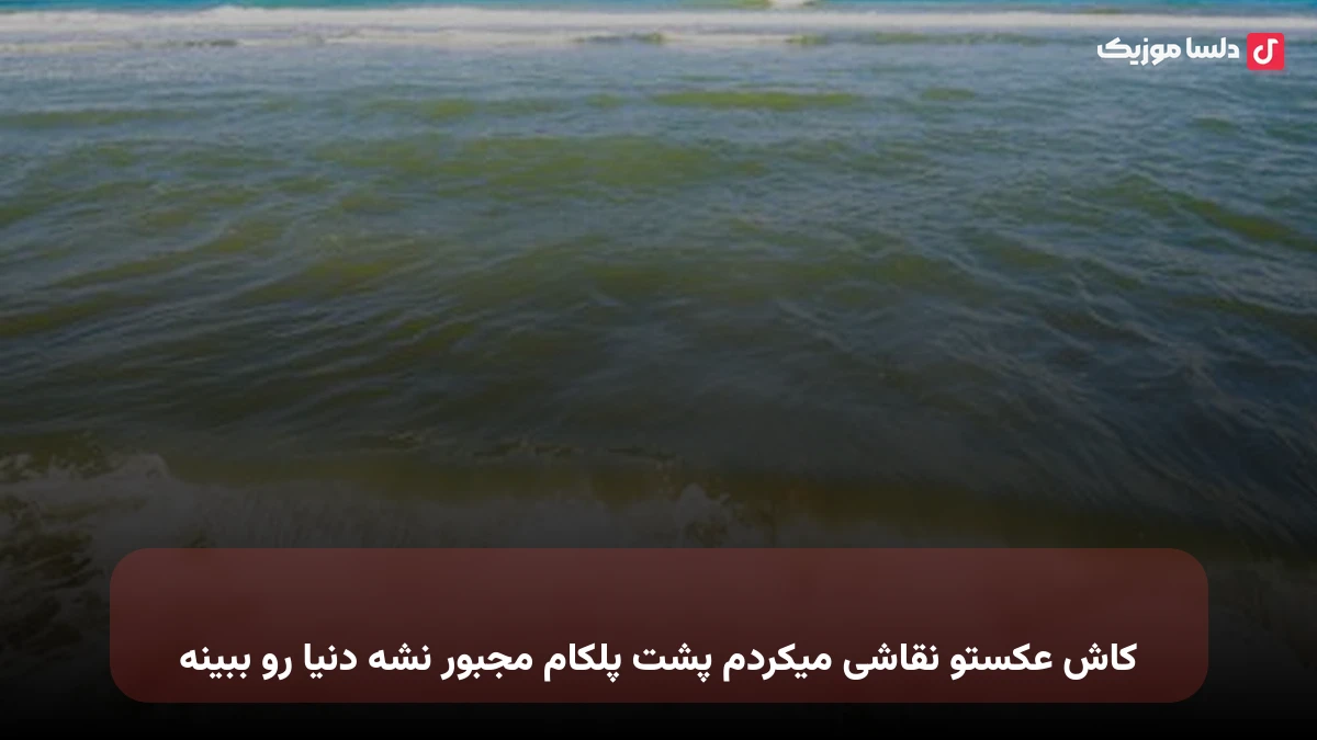 کاش عکستو نقاشی میکردم پشت پلکام مجبور نشه دنیا رو ببینه
